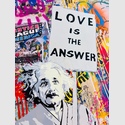 Einstein Mr. Brainwash Unikat