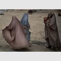 Bettelnde Frauen in Kandahar, Afghanistan,  12. März 2014 © Anja Niedringhaus/AP