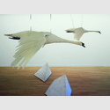Möbus, Christiane mein lieber Schwan, 1986, Tierpräparate (zwei Schwäne), Buchenschichtholz, Acrylspachtel, Breite: je 190 cm Spannweite, Höhe x Breite x Tiefe: je 64 x 178 x 75 cm, Sprengel Museum Hannover, Leihgabe Stiftung Niedersachsen, Hannover (seit 2013); © VG Bild-Kunst, Bonn 2026 